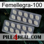 Femalegra-100 07